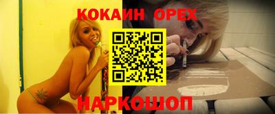 стаф Дубна