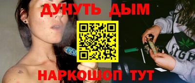 стаф Дубна
