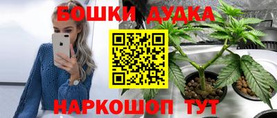 стаф Дубна