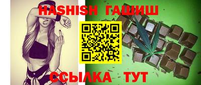 стаф Дубна