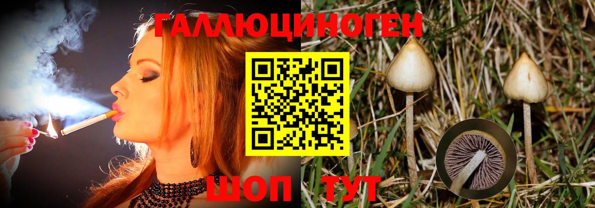 Псилоцибиновые грибы Psilocybine cubensis  Псилоцибиновые грибы Magic Shrooms  Вход с VPN  хочу   Михайловск 